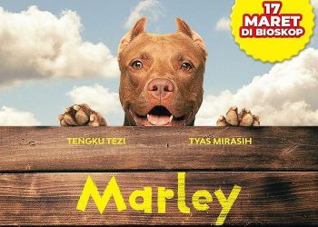 Marley cinemags