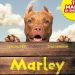 Marley cinemags