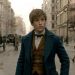 FANTASTIC BEASTS