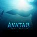 Avatar: The Way of Water