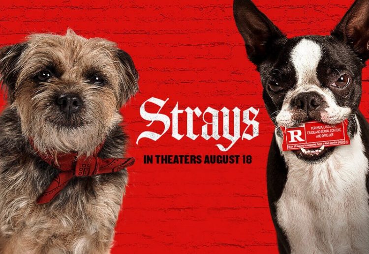 Strays