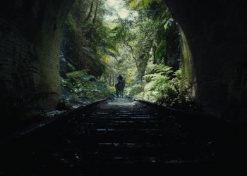 Kingdom of the Planet of the Apes