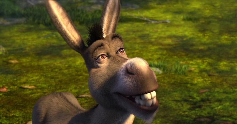 donkey