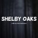 Shelby Oaks