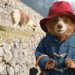 Review Paddington in Peru, Kehangatan Keluarga Terasa Hingga Hati