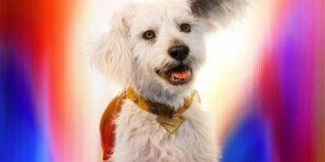 Teaser Super Bowl Supergirl Perkenalkan Baby Krypto dan Kehancuran Krypton