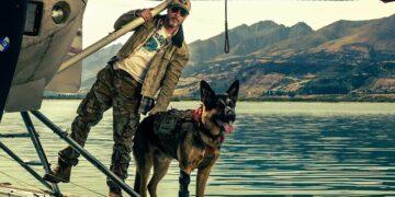 Brad Pitt Bertarung Melawan Serigala di Alaska dalam Trailer Perdana Heart of the Beast