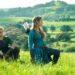 Sebelum Film Live-Action Tayang, The Legend of Zelda Dapat Proyek Resmi Baru dari Nintendo