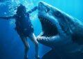 Trailer Above & Below: Teror Hiu Putih dan Kartel Narkoba dalam Thriller Penuh Ketegangan