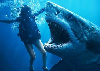 Trailer Above & Below: Teror Hiu Putih dan Kartel Narkoba dalam Thriller Penuh Ketegangan