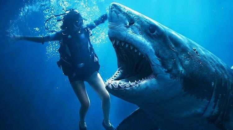 Trailer Above & Below: Teror Hiu Putih dan Kartel Narkoba dalam Thriller Penuh Ketegangan