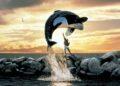 Sutradara Avengers: Doomsday Siapkan Remake Free Willy untuk Warner Bros.