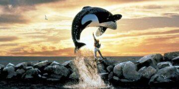 Sutradara Avengers: Doomsday Siapkan Remake Free Willy untuk Warner Bros.