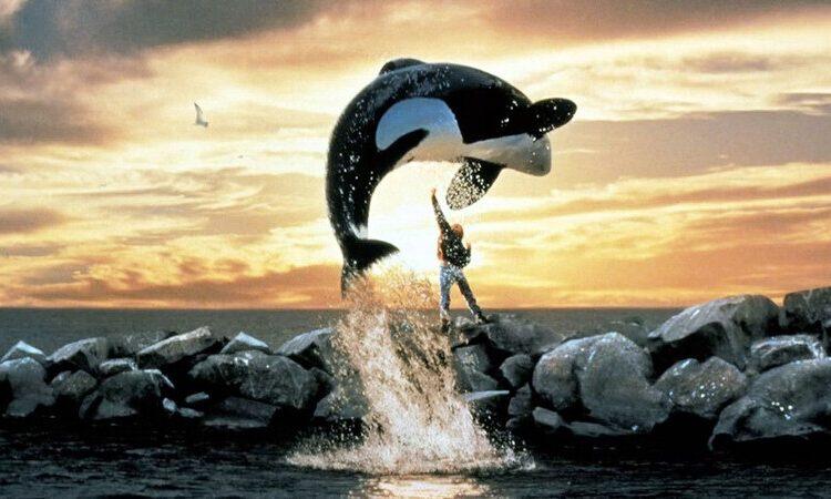 Sutradara Avengers: Doomsday Siapkan Remake Free Willy untuk Warner Bros.