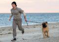 Trailer I Play Rocky Ungkap Perjuangan Sylvester Stallone Sebelum Jadi Legenda Hollywood